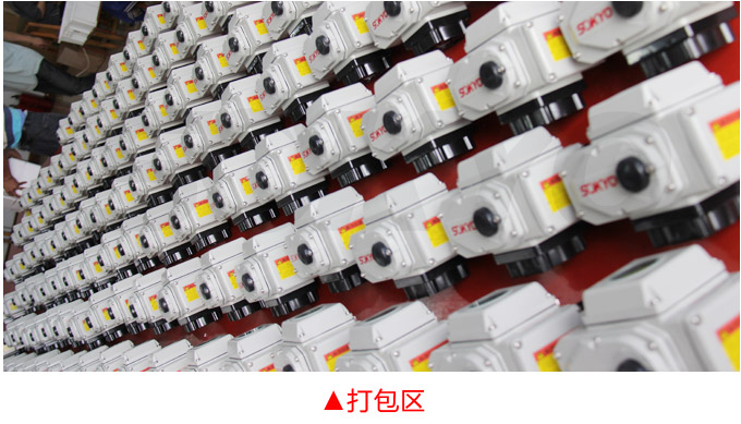 防爆電動(dòng)執(zhí)行器,YTEx-RS200防爆電動(dòng)執(zhí)行機(jī)構(gòu)物流包裝打包區(qū)