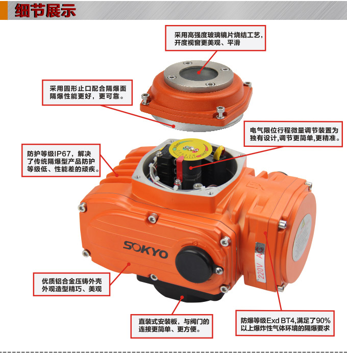 防爆電動(dòng)執(zhí)行器,YTEx-RS200防爆電動(dòng)執(zhí)行機(jī)構(gòu)細(xì)節(jié)圖1 防爆電動(dòng)執(zhí)行器,YTEx-RS200防爆電動(dòng)執(zhí)行機(jī)構(gòu)細(xì)節(jié)圖1